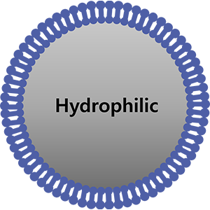Nanoskin (NA-HQD16) Hydro Express Hydrophobic Spray Polymer - 16 oz.